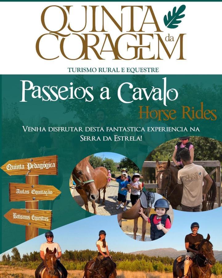 Casa D'Avo Coragem Leilighet Seia Eksteriør bilde